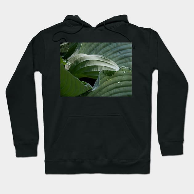 Rolling Green Waves Hoodie by EileenMcVey